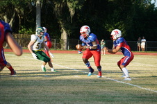 Enlarge photo 74