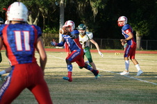 Enlarge photo 78
