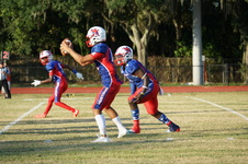 Enlarge photo 82