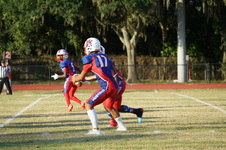 Enlarge photo 84