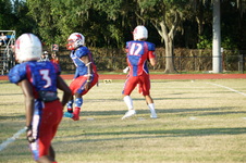 Enlarge photo 86