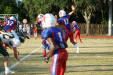 Enlarge photo 87