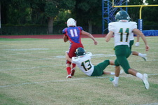 Enlarge photo 115