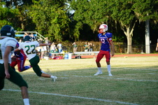 Enlarge photo 124