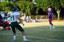Enlarge photo 127