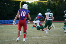 Enlarge photo 135