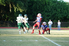 Enlarge photo 155