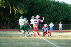 Enlarge photo 156