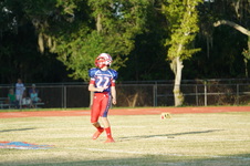 Enlarge photo 162