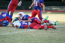 Enlarge photo 168