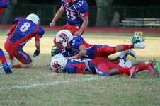 Enlarge photo 169