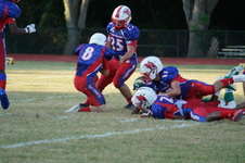 Enlarge photo 171