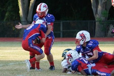 Enlarge photo 170