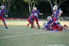 Enlarge photo 172