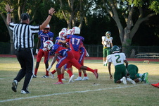 Enlarge photo 175