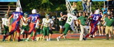 Enlarge photo 219