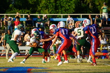 Enlarge photo 229