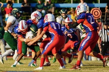 Enlarge photo 230