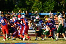Enlarge photo 233