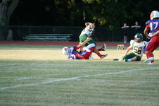 Enlarge photo 249