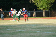 Enlarge photo 262