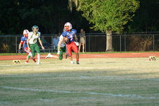 Enlarge photo 263