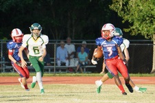 Enlarge photo 264