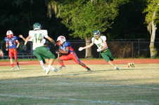 Enlarge photo 268