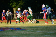 Enlarge photo 270