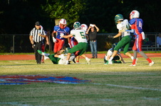 Enlarge photo 271