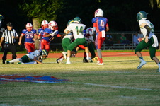 Enlarge photo 274