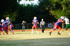Enlarge photo 281