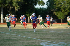Enlarge photo 293