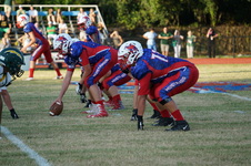 Enlarge photo 301