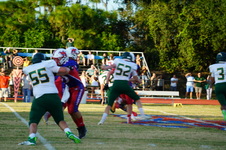Enlarge photo 306