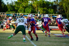 Enlarge photo 307