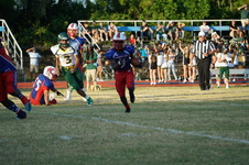 Enlarge photo 322