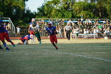 Enlarge photo 321