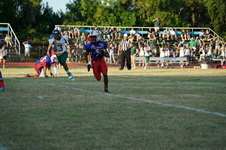 Enlarge photo 324