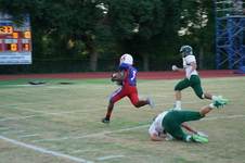 Enlarge photo 331