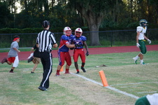 Enlarge photo 337