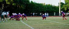 Enlarge photo 346