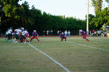 Enlarge photo 348