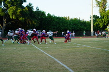 Enlarge photo 351