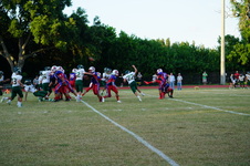 Enlarge photo 352