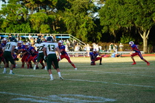 Enlarge photo 358