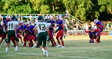 Enlarge photo 361