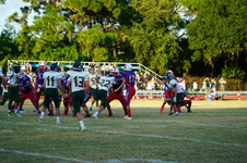 Enlarge photo 362