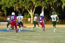 Enlarge photo 410