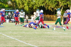 Enlarge photo 432